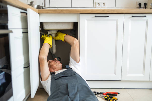 Best Water Softener Installation  in Alpine, CA